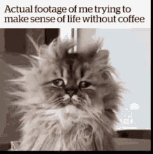 Life Without Coffee Good Morning Beautiful People GIF - Life Without Coffee Good Morning Beautiful People Have A Wild Week Lol GIFs