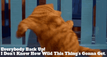 Garfield Everybody Back Up GIF - Garfield Everybody Back Up I Dont Know How Wild This Things Gonna Get GIFs
