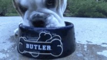 Butler GIF - Butler GIFs