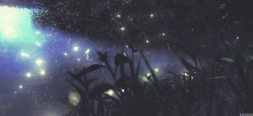 fireflies-pond.gif