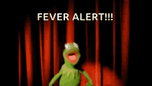 Kermit Scared GIF - Kermit Scared Fever Alert GIFs