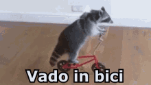 Orsetto Lavatore Bicicletta Vado In Bici Pedalare GIF - Raccoon Bicycle Bike GIFs
