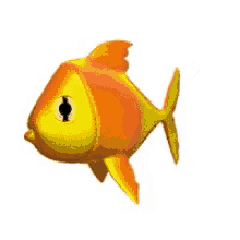 fish3 fish