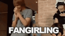 Fangirling GIF - K Pop Korean Fan Girling GIFs