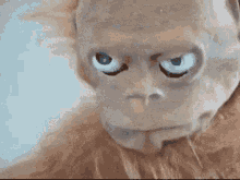 Tim Allen Monkey GIF - Tim Allen Monkey GIFs