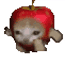 applecatrun apple cat