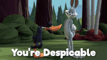looney looney