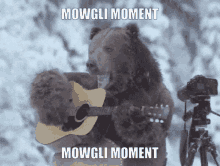 mowgli moment bear guitar mowgli moment