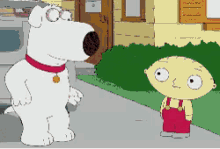 Family Guy Brian Griffin GIF - Family Guy Brian Griffin Stewie Griffin GIFs
