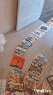 path of books books on the floor walkway of books book walkway viralhog