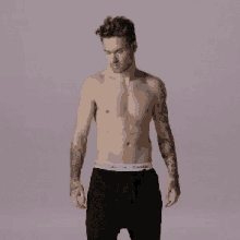 Liam Payne Pose GIF - Liam Payne Pose Strip That Down GIFs