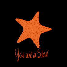 nova novadesigns novadesignsmv you are a star star nova novadesigns novadesignsmv you are a star star