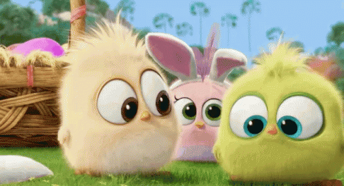 アングリーバード 映画 可愛い Gif Angry Bird Movie Cute Discover Share Gifs