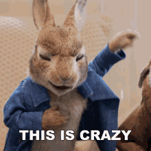 This Is Crazy Peter Rabbit GIF - This Is Crazy Peter Rabbit Benjamin Bunny GIFs