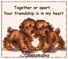 friendship alexandra dogs cute sayings