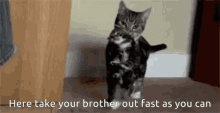 Take Your Brother GIF - Take Your Brother Fast GIFs