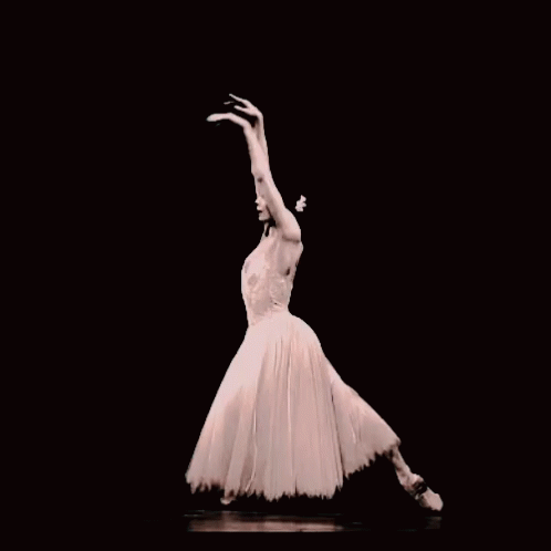 Ballet Ballerina GIF - Ballerina Dance - Discover & Share