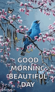 Good Morning Beautiful Day GIF - Good Morning Beautiful Day Greetings GIFs