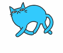Cat Crazy Blue Cat GIF - Cat Crazy Blue Cat Nervous GIFs