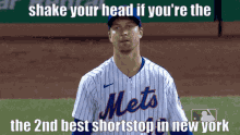 Degrom Shortstop GIF - Degrom Shortstop Mets GIFs