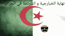 Algerian Flag Algeria GIF - Algerian Flag Algeria نهاية GIFs