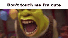 Sean Shrek GIF - Sean Shrek Dont Touch GIFs