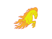 horse angry eyes racing horse youth olympic games jogos ol%C3%ADmpicos da juventude horse angry eyes racing horse youth olympic games jogos ol%C3%ADmpicos da juventude