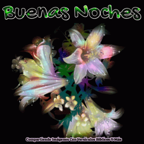 Goodnight Buenas Noches GIF - Goodnight Buenas Noches Flowers ...