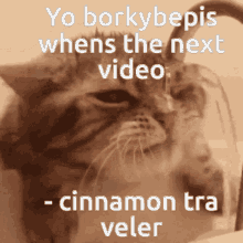 borky borkybepis catsoda make video traveler