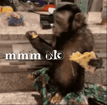 Mmm No Monkey GIF - Mmm No Monkey GIFs