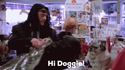 The Room Tommy Wisseau GIF - The Room Tommy Wisseau Hidoggie GIFs