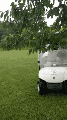 Golf Cart GIF - Golf Cart Slide GIFs