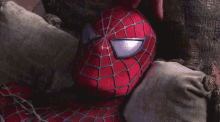 Tobey Maguire Spiderman GIF - Tobey Maguire Spiderman Peter Parker GIFs