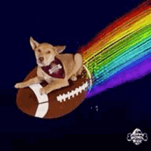rainbow-dog.gif