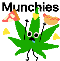 Munchies Hungry Sticker - Munchies Hungry High Stickers