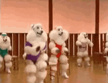Swimming Poodles Full Of Liquor Then You Dive In GIF - March Poodles Workout GIFs