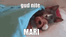Goodnight Mari GIF - Goodnight Mari Mari GIFs