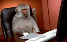 Monkey Business Annoyed GIF - Monkey Business Annoyed Irritated GIFs