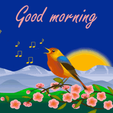 Good Morning GIF - Good Morning Nature GIFs