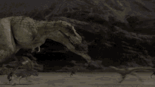 tyrannosaurus trex running raptors dinosaur tyrannosaurus trex running raptors dinosaur